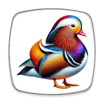 Mandarinente - Viereckiger Kühlschrankmagnet - Weiß - Vorne