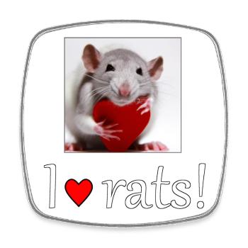 Rat with a heart - Square fridge magnet - white - Front