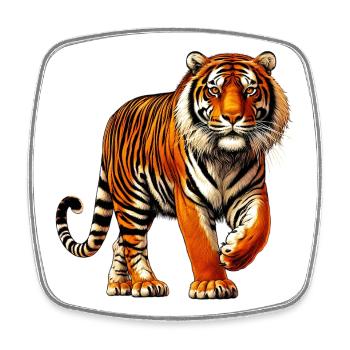 Tiger - Viereckiger Kühlschrankmagnet - Weiß - Vorne