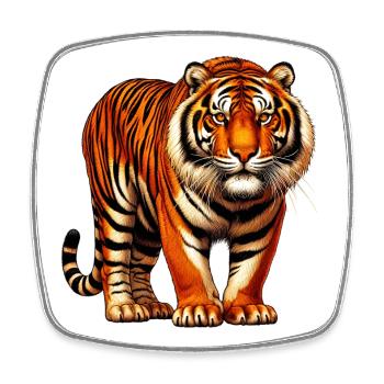 Tiger - Square fridge magnet - white - Front