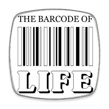 The Barcode of Life / Der Strichcode des Lebens - Square fridge magnet - white - Front