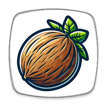 Tropical Nut Drawn - Square fridge magnet - white - Front