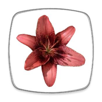 Elegant Pink Lily Petals Design - Square fridge magnet - white - Front