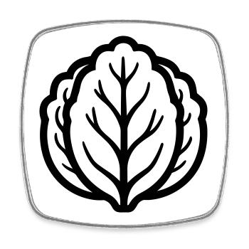 cabbage - Square fridge magnet - white - Front