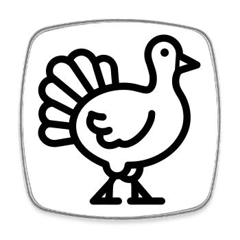 turkey - Square fridge magnet - white - Front