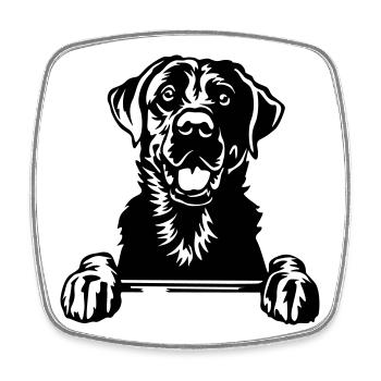 Labrador Kopf - Viereckiger Kühlschrankmagnet - Weiß - Vorne