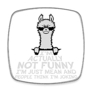 Lama Alpaka Not Funny Just Mean People Think Joke - Viereckiger Kühlschrankmagnet - Weiß - Vorne