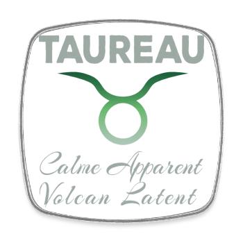 Taureau - Magnet carré - blanc - Devant