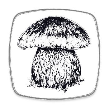 STEINPILZ - Viereckiger Kühlschrankmagnet - Weiß - Vorne