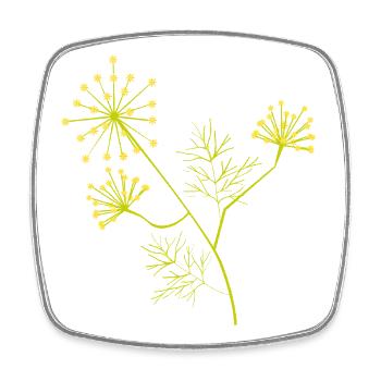 Blühender Dill – botanische Pflanzenillustration - Viereckiger Kühlschrankmagnet - Weiß - Vorne