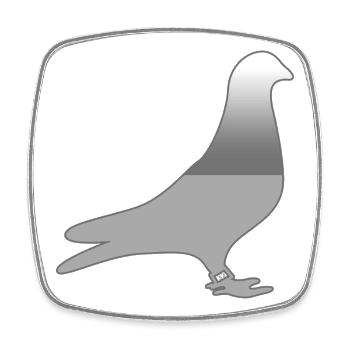 Tauben - Viereckiger Kühlschrankmagnet - Weiß - Vorne