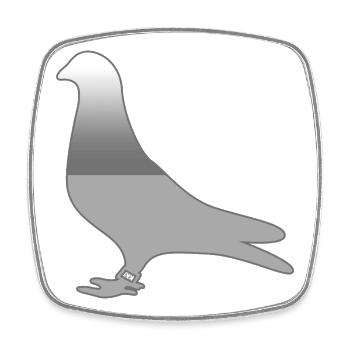 Tauben - Viereckiger Kühlschrankmagnet - Weiß - Vorne