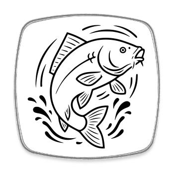 Carp Jumping Fish Fishing - Square fridge magnet - white - Front