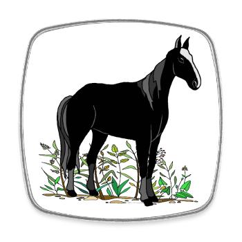 Pferd - Viereckiger Kühlschrankmagnet - Weiß - Vorne