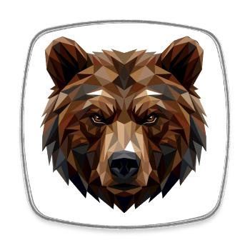 Brown Bear, Grizzly Bear, Bear Brothers, Forest, Wild Bears - Square fridge magnet - white - Front