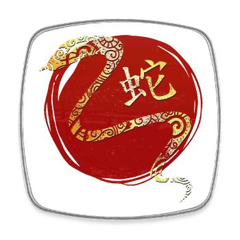 Schlange Chinesisches Tierkreiszeichen Horoskop - Viereckiger Kühlschrankmagnet - Weiß - Vorne