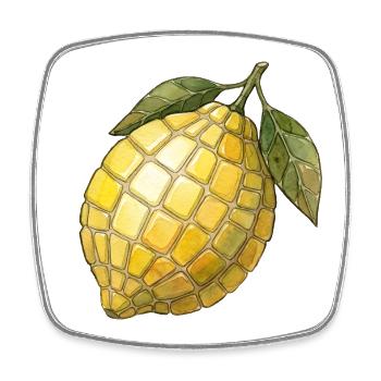 Mosaïque de citron - Idée de cadeau méditerranéen frais - Magnet carré - blanc - Devant