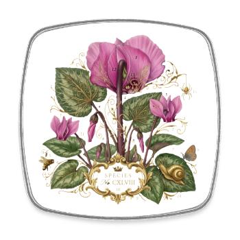rosa Blüten botanische Blütenpracht Alpen Veilchen - Viereckiger Kühlschrankmagnet - Weiß - Vorne