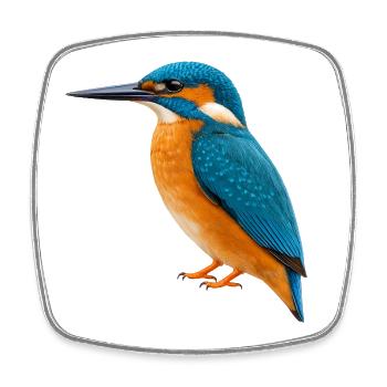 Colorful kingfisher - Square fridge magnet - white - Front