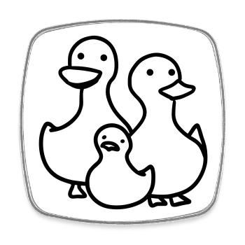 famille canard - Magnet carré - blanc - Devant