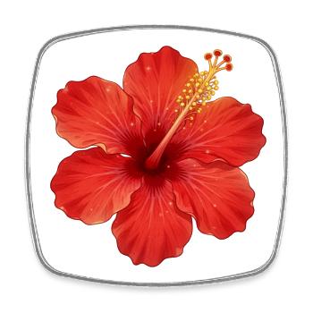 Hibiskus Blume rot Blume Hibiscus Hawaii Blüte - Viereckiger Kühlschrankmagnet - Weiß - Vorne