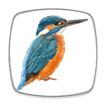 Vecteur bleu-orange de King Fisher - Magnet carré - blanc - Devant