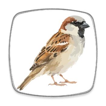 Sparrow Color Block Illustration - Square fridge magnet - white - Front