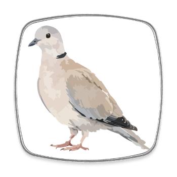Pigeon portrait in earth tones - Square fridge magnet - white - Front