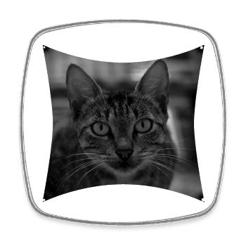 Wild Cat - Square fridge magnet - white - Front