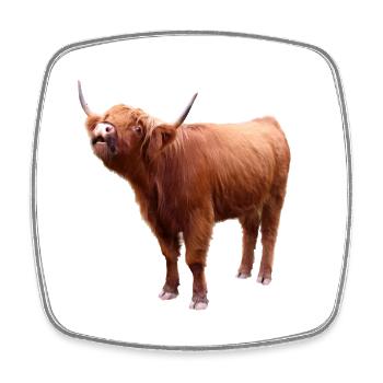 Scottish Highland cattle - Square fridge magnet - white - Front