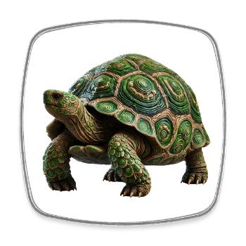 Turtle - Square fridge magnet - white - Front