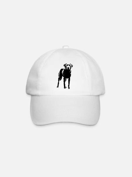 Labrador - Baseballkappe - Weiß/Weiß