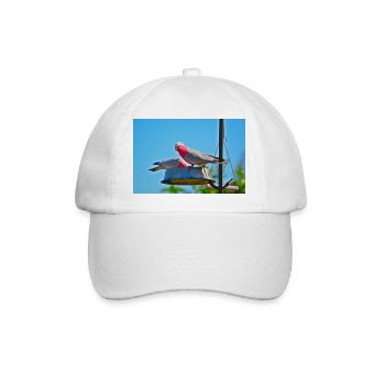 Ein Paar rosa und graue Galahs, die in einem Garten füttern - Baseballkappe - Weiß/Weiß - Vorne