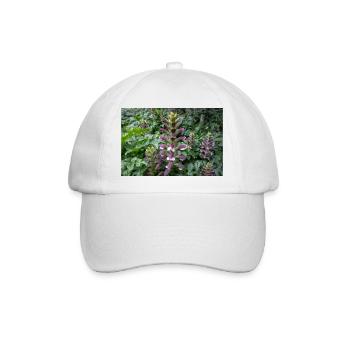 Bären-Steiß Acanthus spinosus - Baseballkappe - Weiß/Weiß - Vorne