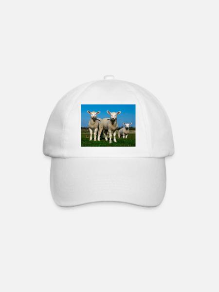 lambs in the pasture - Baseballkappe - Weiß/Weiß