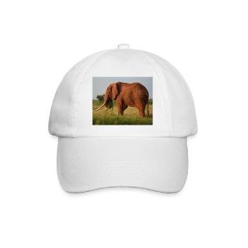 Elefant auf Savanne - Baseballkappe - Weiß/Weiß - Vorne