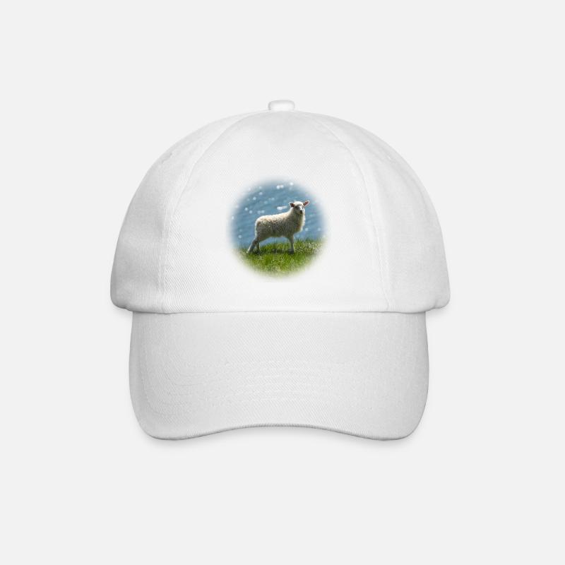 Jeunes moutons d’Islande dans un pré - Casquette classique - blanc/blanc