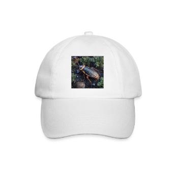 Wood cockroach in detail – Realistic insect macro - Baseball Cap - white/white - Front