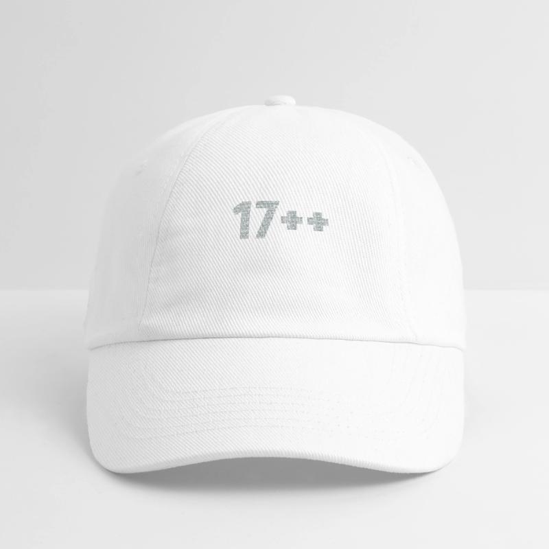 17++ Software Developer Coder Engineer 18th Baseball Cap