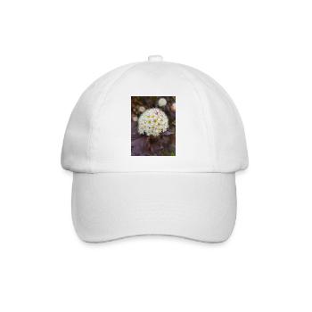 Blasenspiere à neuf écorces Physocarpus capitatus - Casquette classique - blanc/blanc - Devant