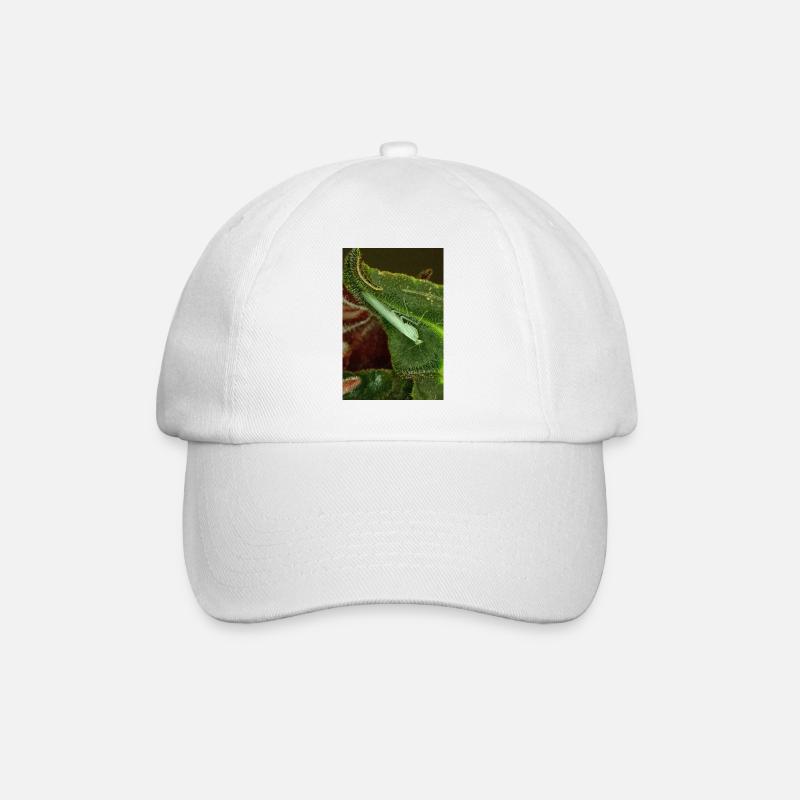 Tropidomantis cf tenue - Casquette classique - blanc/blanc