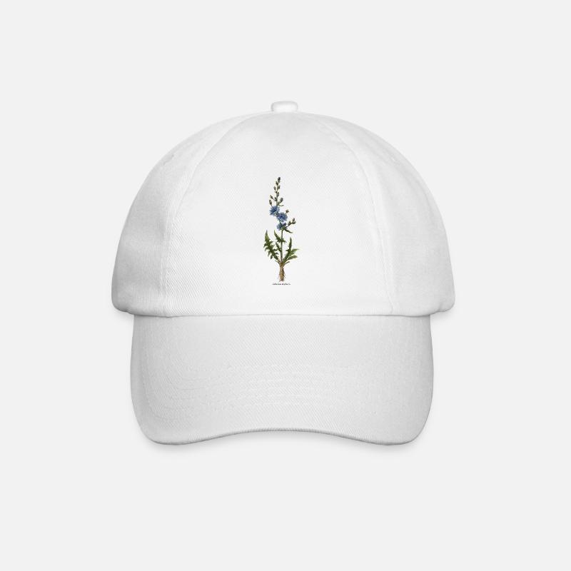 Chicory - Baseball Cap - white/white