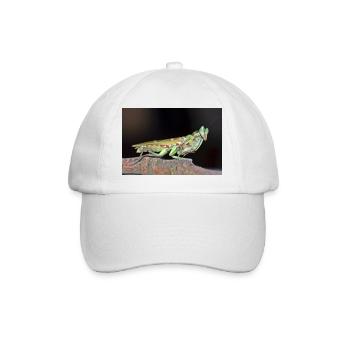 Creobroter cf nebulosus - Flower mantis - Baseballkappe - Weiß/Weiß - Vorne