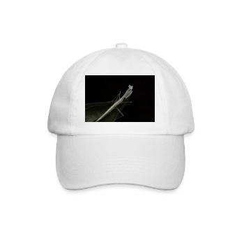 Sinomantis denticulata nymph - glass mantis - Baseball Cap - white/white - Front