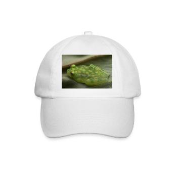 Hyalinobatrachium valerioi - Glass frog - Baseball Cap - white/white - Front