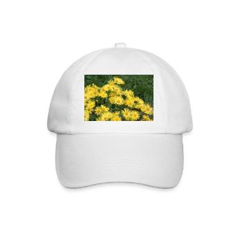 Flowers gem root yellow - Baseball Cap - white/white - Front