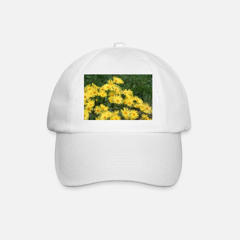 Blumen Gemswurz gelb - Baseballkappe - Weiß/Weiß