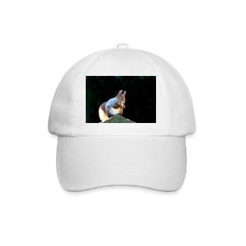 Eichhörnchen, Isibat - Baseballkappe - Weiß/Weiß - Vorne