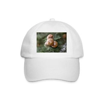 Cyprès d’Italie aussi cyprès de Méditerranée - Casquette classique - blanc/blanc - Devant