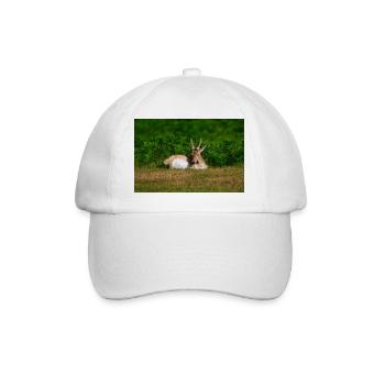 Fallow 1 - Baseball Cap - white/white - Front